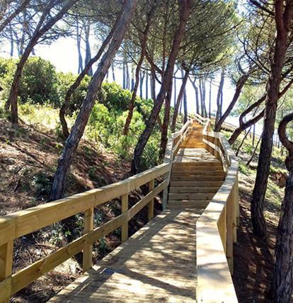Beach,Surf, Hiking And More 马塞拉 外观 照片